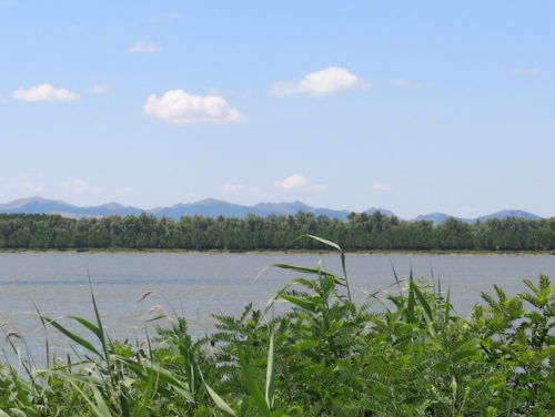 Pogled sa nasipa na veliku reku (REW 2016)