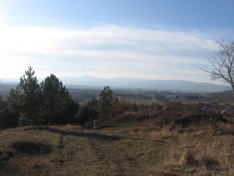 IjPZd_img5704u.jpg