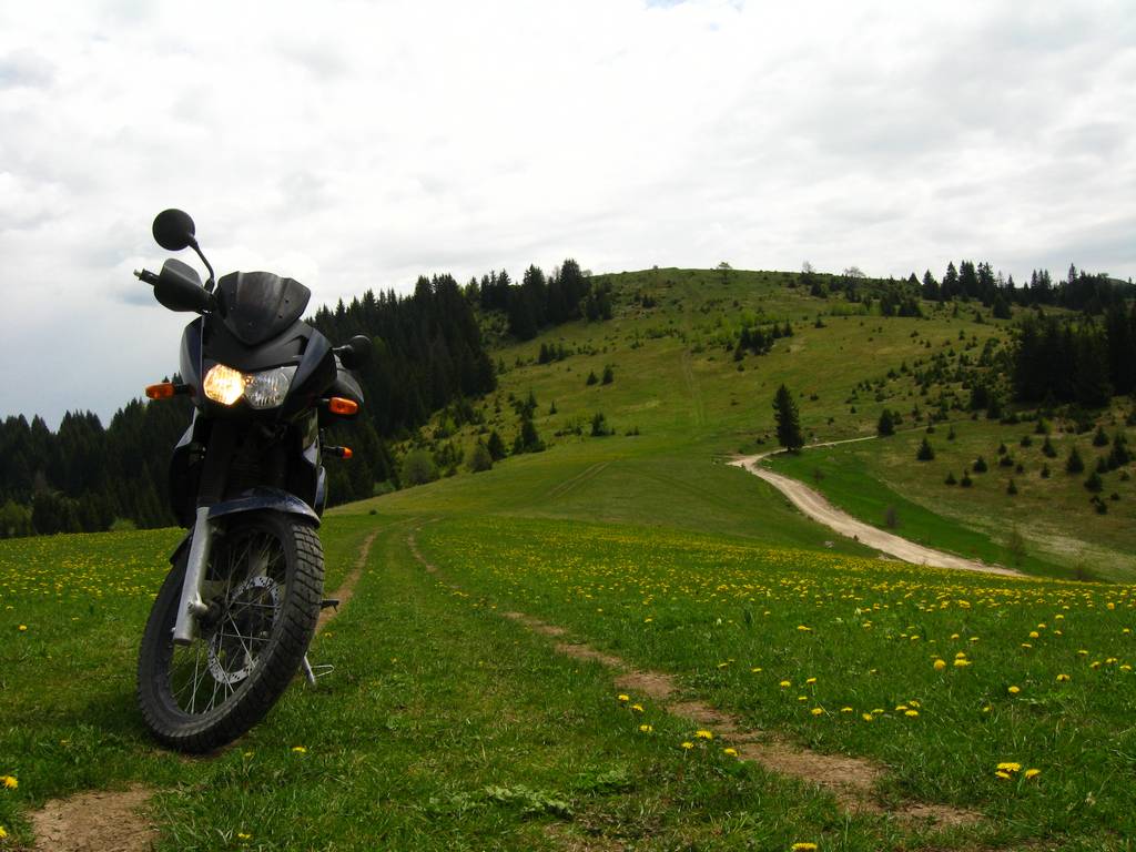 Moto156.jpg