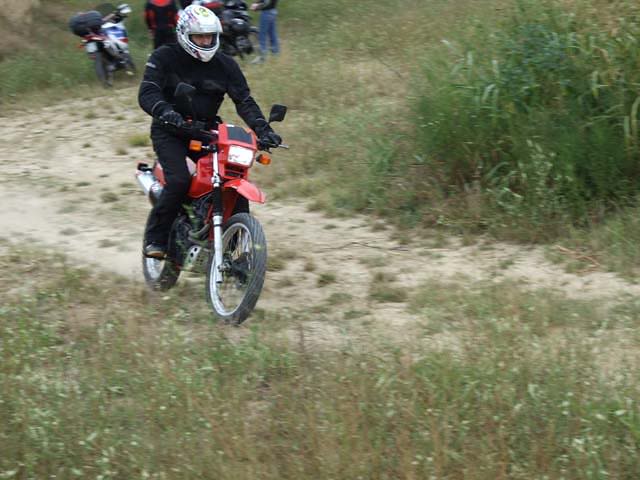 Offroad19.jpg