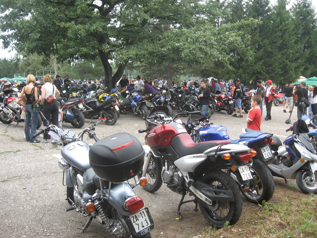 Oxq84_img0684w.jpg