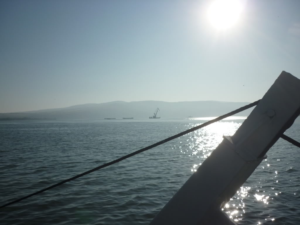 P1010353.jpg