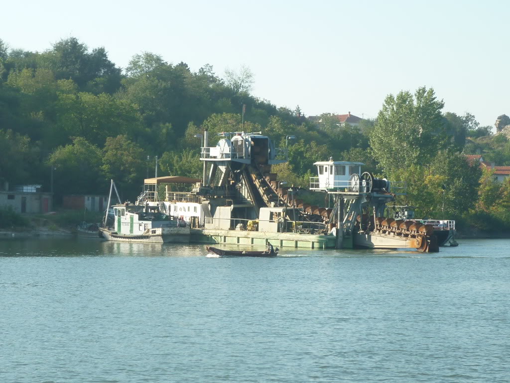 P1010362.jpg