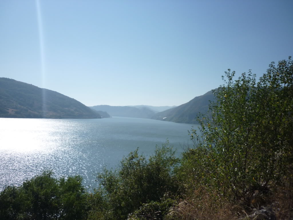 P1010391.jpg