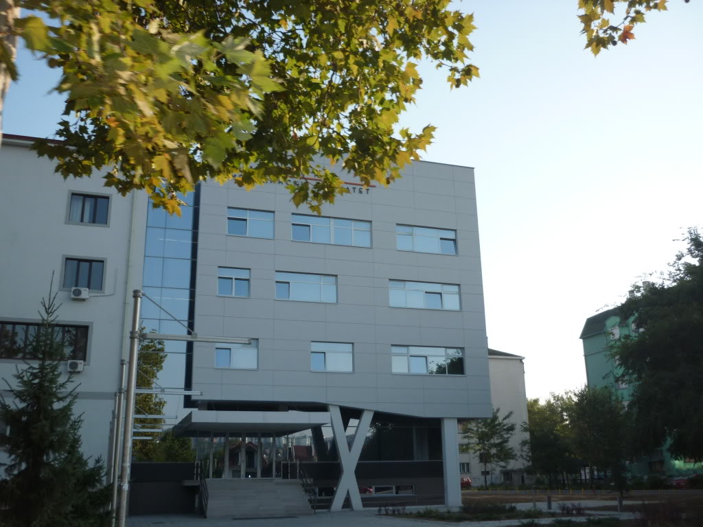 P1010481.jpg