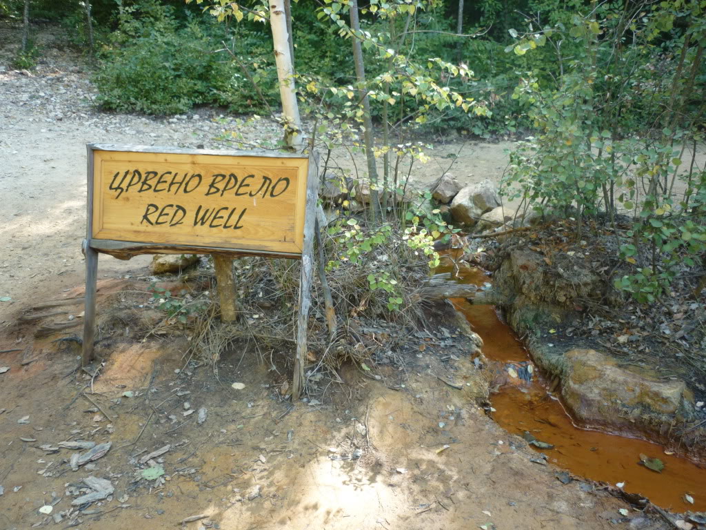 P1010525.jpg