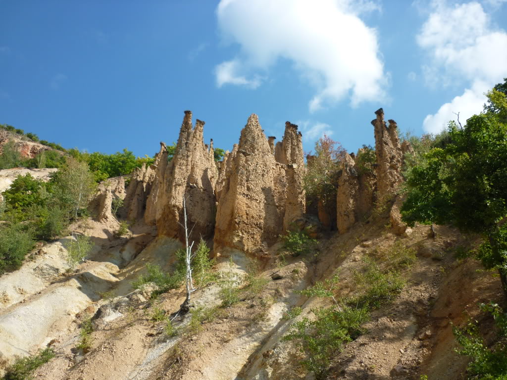 P1010529.jpg