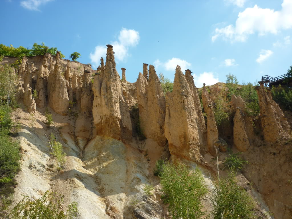 P1010533.jpg