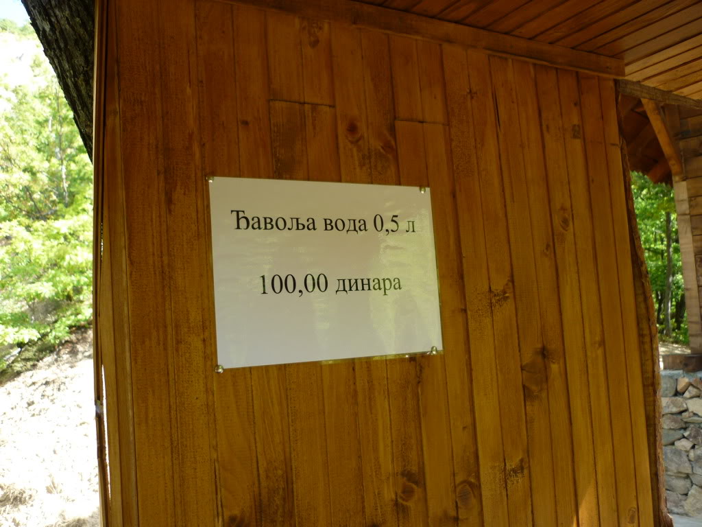 P1010559.jpg