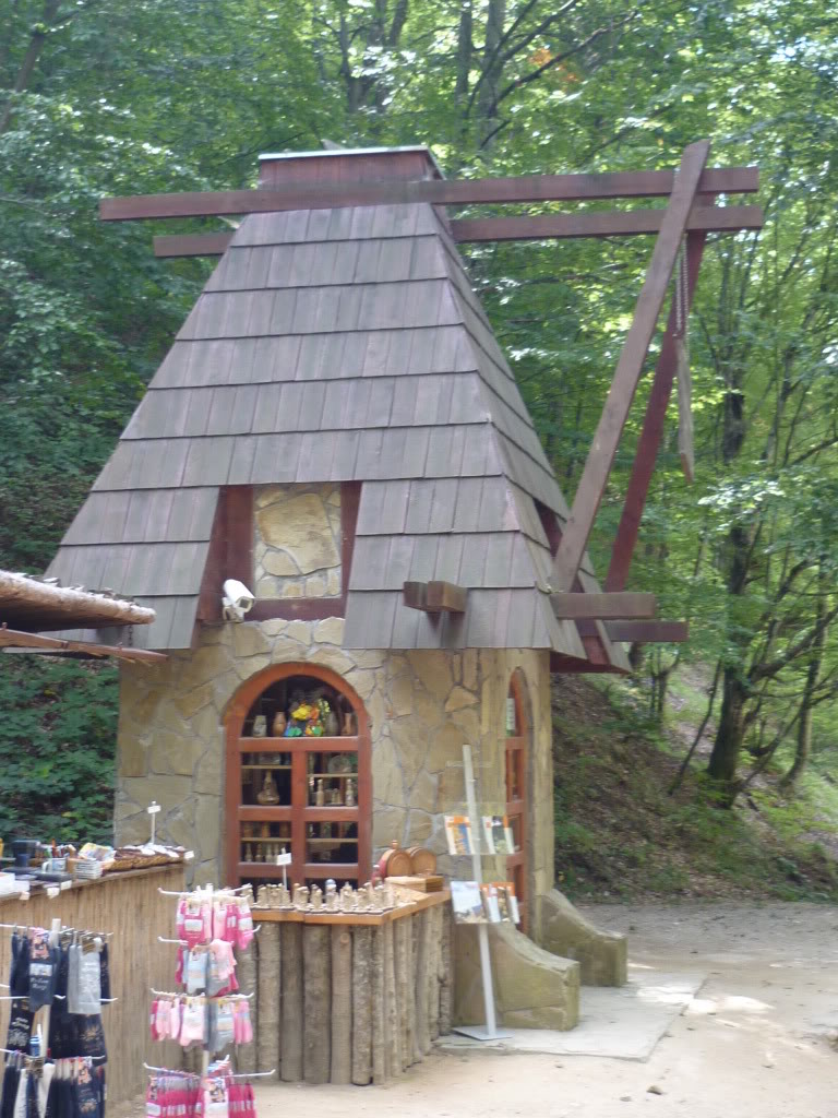P1010564.jpg