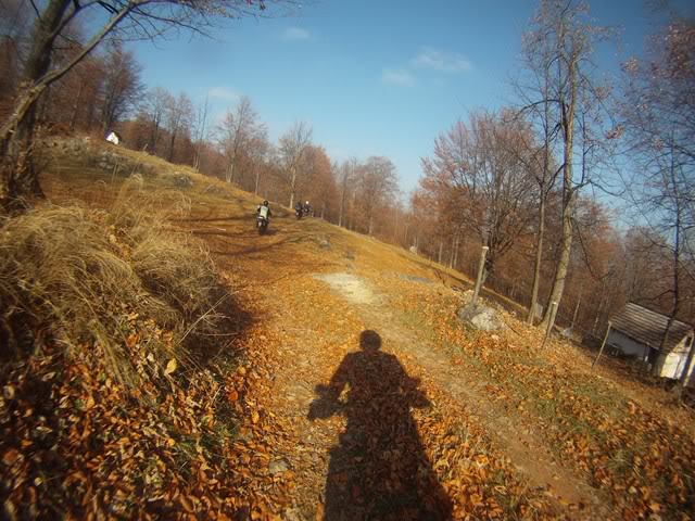 Pov137Copy.jpg