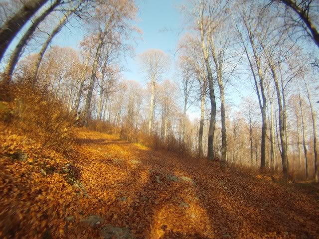 Pov183Copy.jpg