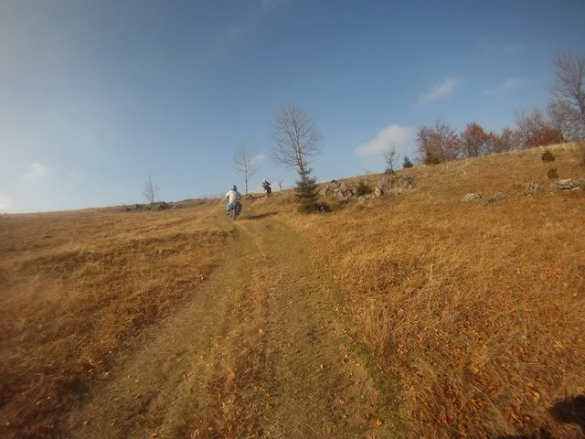 Pov211Copy.jpg