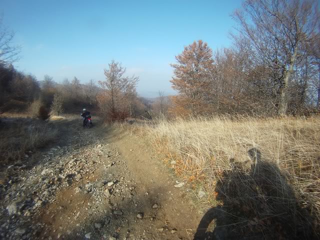 Pov28Copy.jpg