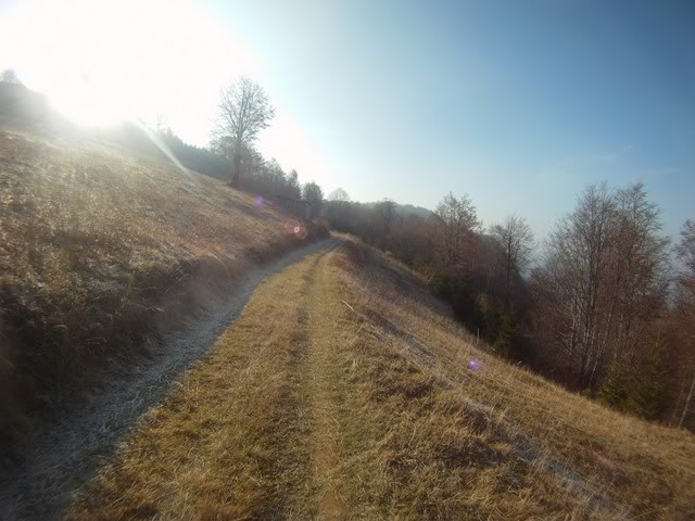Pov428Copy.jpg