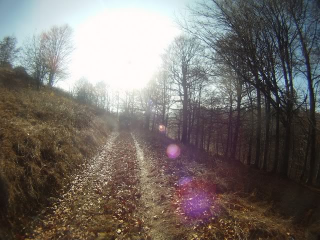 Pov451Copy.jpg