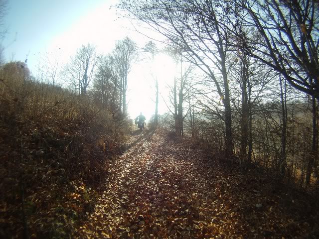 Pov454Copy.jpg