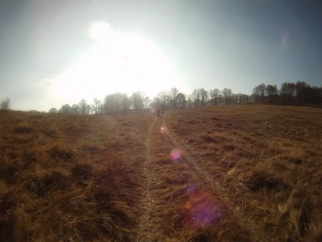 Pov467Copy.jpg