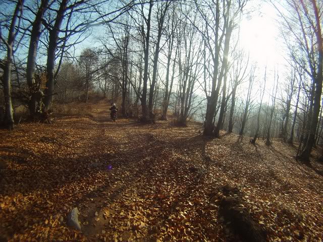 Pov487Copy.jpg
