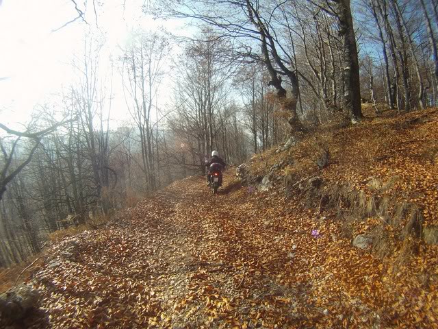 Pov492Copy.jpg