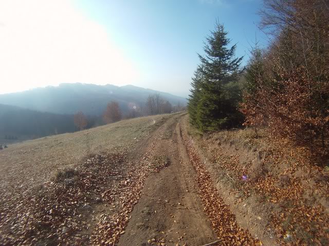 Pov502Copy.jpg