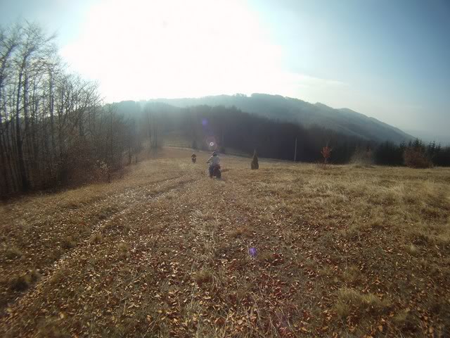 Pov510Copy.jpg