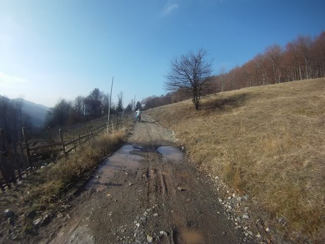 Pov533Copy.jpg