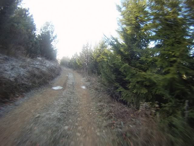 Pov63Copy.jpg
