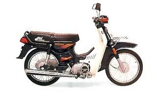 QsZfY_023suzuki1991rc100d.jpg