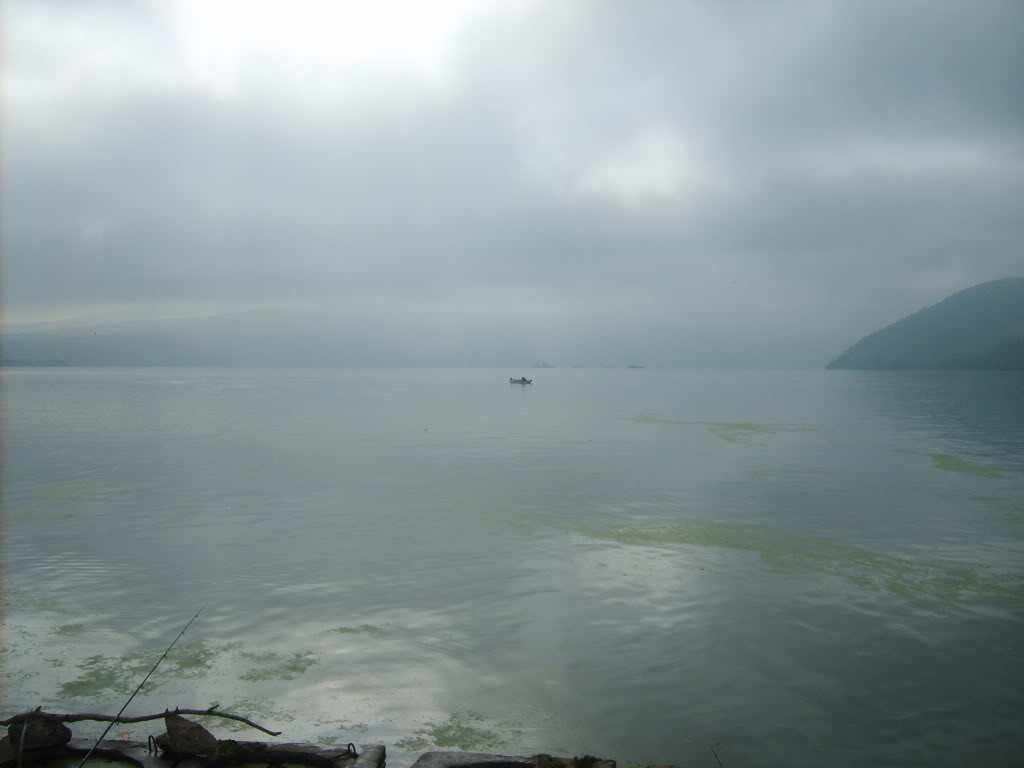 S5001728.jpg