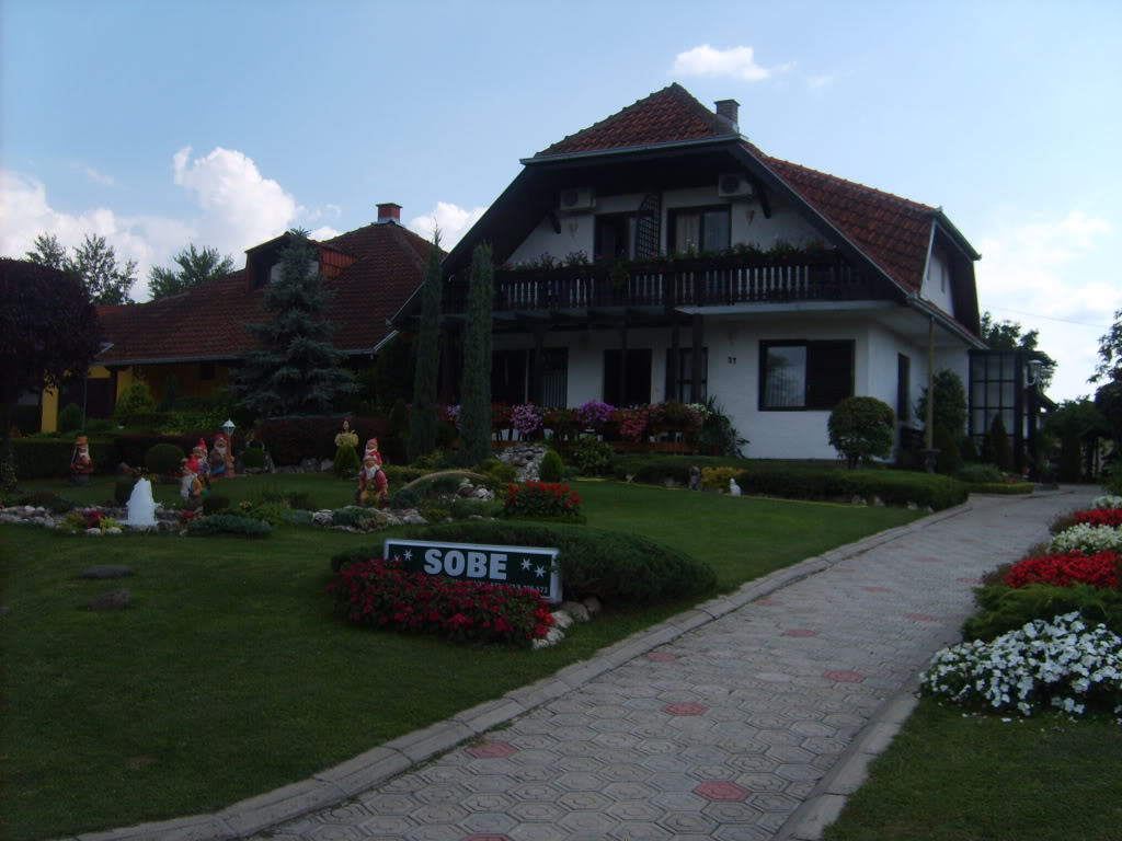 S5001760.jpg