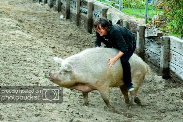 Tim-Riding-A-Pig.jpg