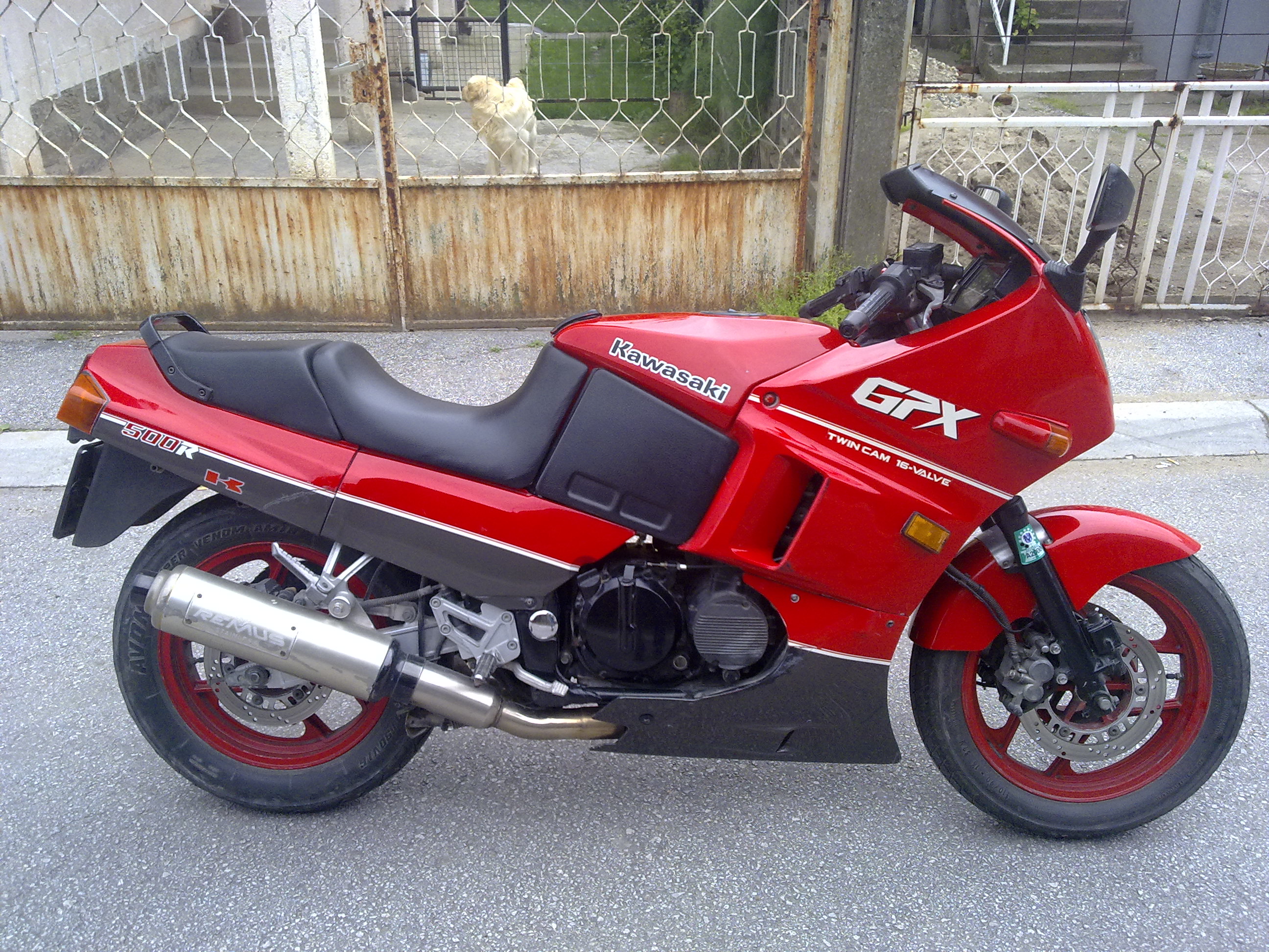 Tq6Oa_20052010156.jpg