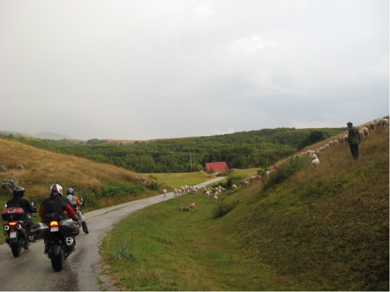 Uw5pA_durmitor09089.jpg