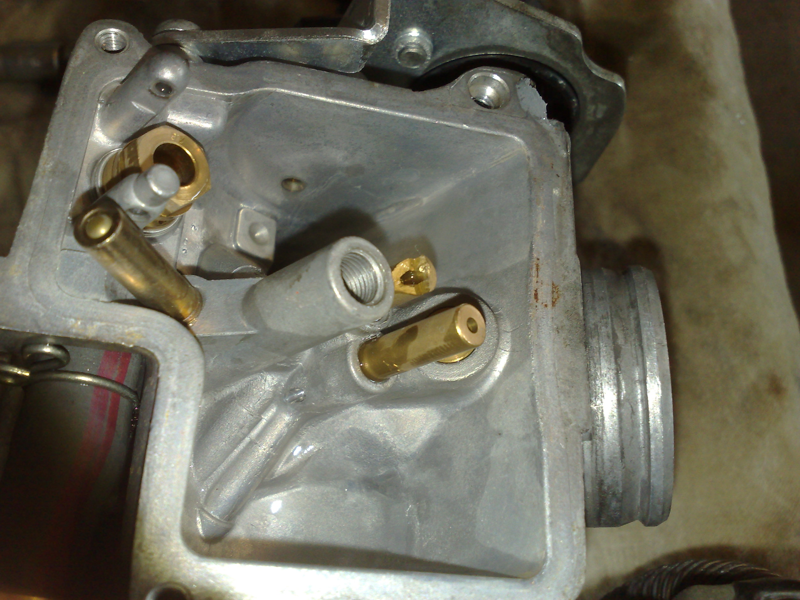 VD7aa_310120122479.jpg
