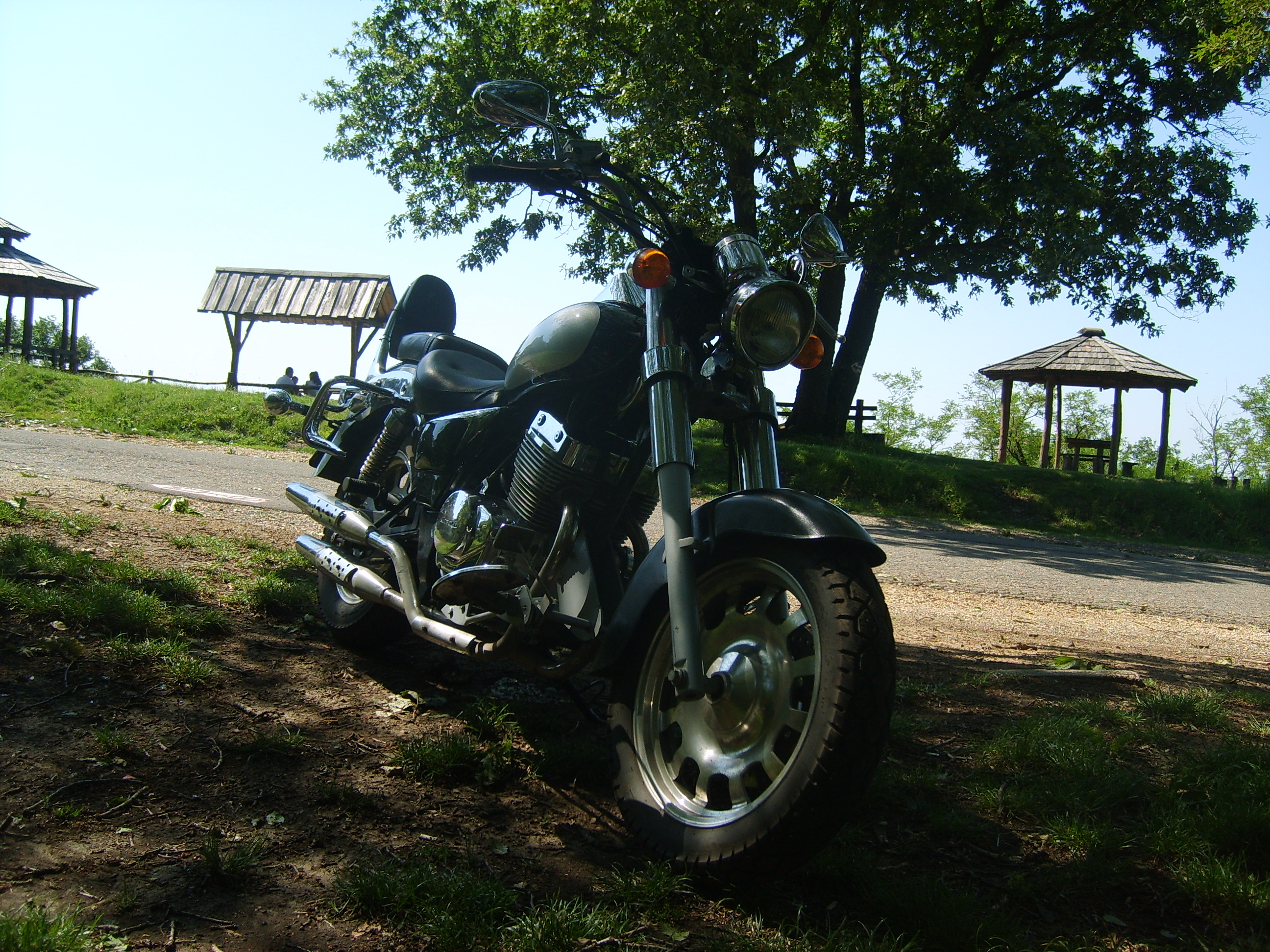Y1QdS_s5006264.jpg