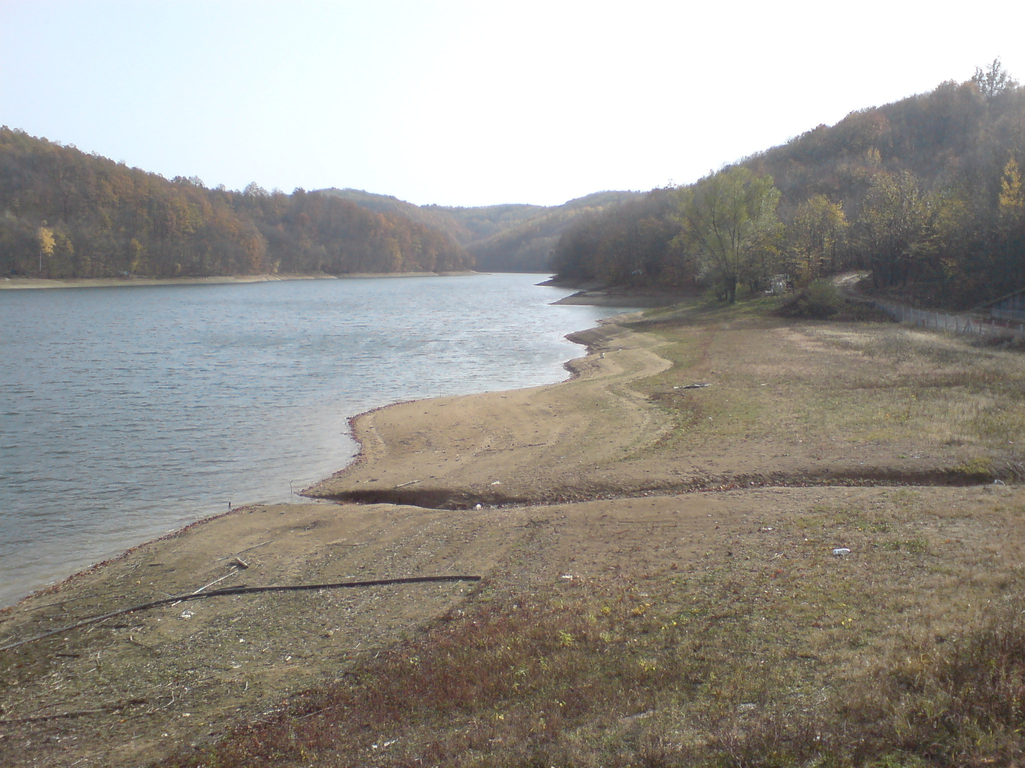 YDan6_dsc01251mv3.jpg