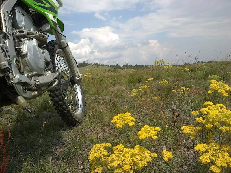 Zlatibor_juli_2013_24.jpg