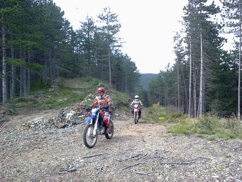 Zlatibor_juli_2013_32.jpg