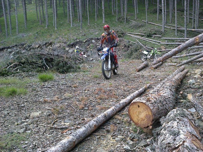 Zlatibor_juli_2013_39.jpg