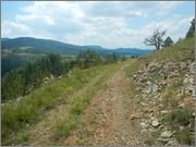 Zlatibor_juli_2013_67.jpg