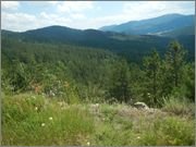 Zlatibor_juli_2013_69.jpg