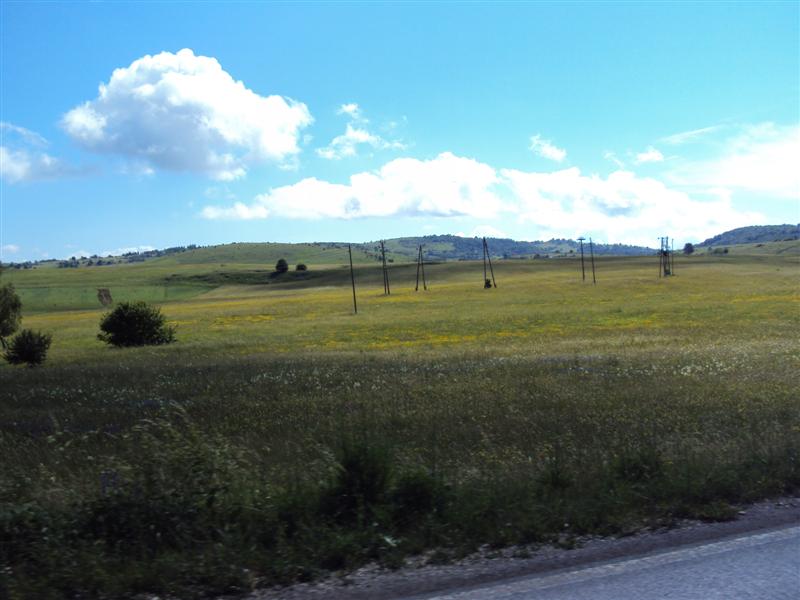 c1c6698d42.jpg