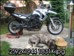 d5nc0_bmwgizmo061.th.jpg