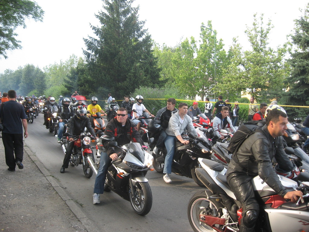 gMP81_img0691wfx.jpg