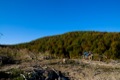 img-10.jpg