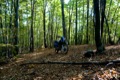 img-12.jpg