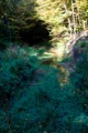img-13.jpg