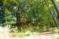 img-17.jpg