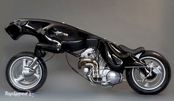 jaguar-bike-has-finiw.jpg